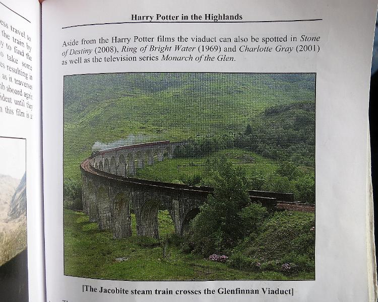 S (475).JPG